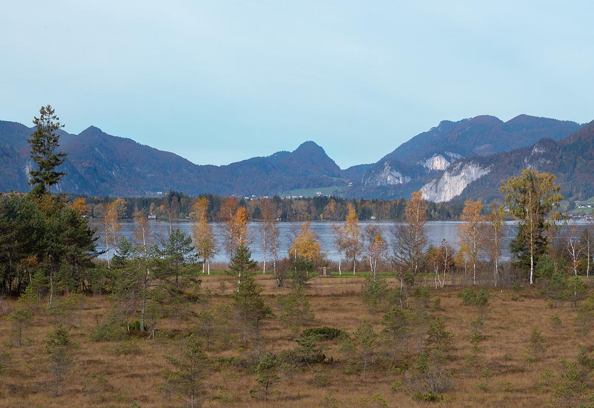 Blick zum Wolfgangsee